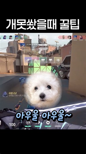 발로란트 총 못쐈을때 꿀팁 알려준다