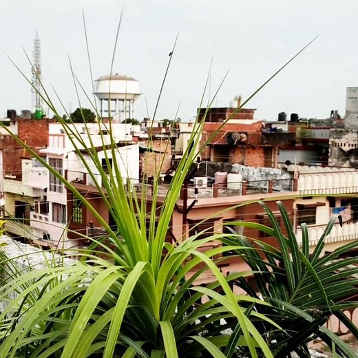 Redmi Note 10 Pro Max Zoom Test | 108 Megapixel