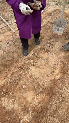 Tutorial de corte de pelo de pato para evitar escapes