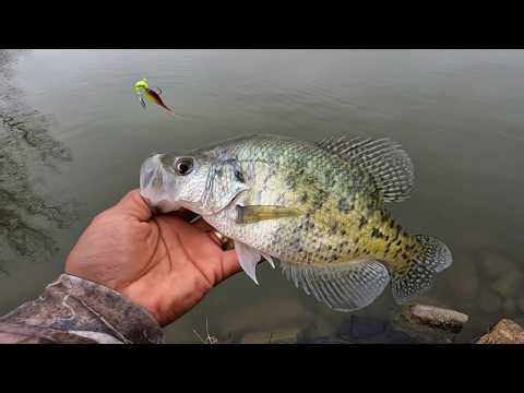 This LURE Caught A LOAD of Early Spring CRAPPIE!