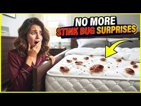 How to Keep Stink Bugs Out of the House Naturally🏠🪲