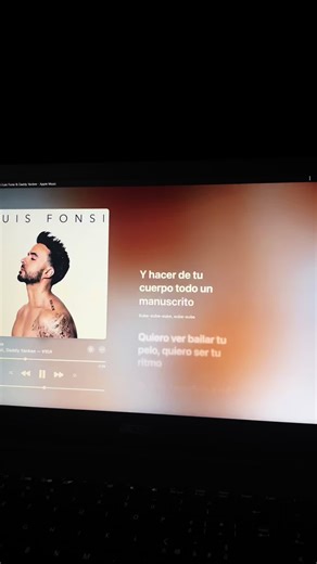 Despacito: Testi e Significato della Canzone