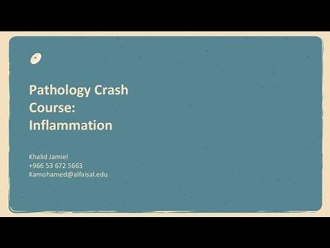 Inflammation Crash Course | Khalid Jamiel | POD 231