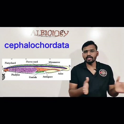 subphylum cephalochordata | Animal classification | Viral Short | Avinash sir
