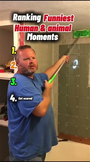 Ranking funniest human and animal moments #funnyanimals #rankings #funnyhuman #funnyvideo