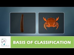 Fun Video: Basis of Classification Video Lecture - Class 9