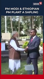 PM Modi And Ethiopian PM Dr Abiy Ahmed Ali Plant A Sapling At The Ethiopian Parliament | N18S