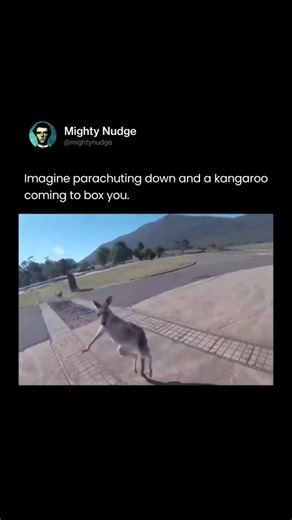 MIGHTY | Imagine parachuting down from the sky, everything calm and almost cinematic. The air is quiet, your parachute sways gently, and the ground... | Instagram