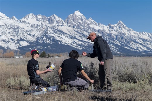 Students fabricate randy robo-grouse whose strut could save birds at Jackson Hole Airport - WyoFile