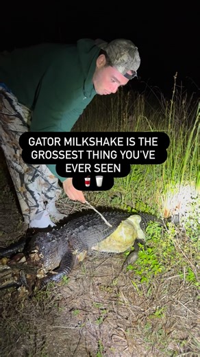 Ben Friedman on Instagram: "GATOR MILKSHAKE is the grossest thing you have EVER SEEN IN YOUR LIFE!!! The smell is INSANE! 🐊🥤🥛"