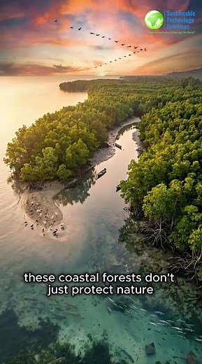 The Roots That Capture Carbon for Centuries