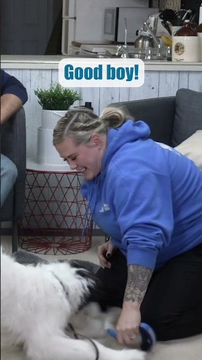 SIMPLE Puppy Training Leadership Game