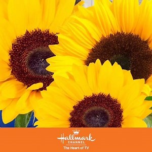 A charming romance perfectly made to order. The delightful "Just Add Romance" premieres Saturday, March 2 on Hallmark Channel! | Hallmark Channel