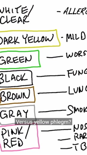 Red Vs Blue – Which One Wins and Why? Red vs Blue: From health, food, to psychology—discover the surprising truths behind these powerful colors! #ColorBattle #RedVsBlue #HealthColors #ColorPsychology #FoodChoices #DrBerg #MindBodyConnection #HealthyLiving #WellnessTips #VisualImpact #LifestyleChoices | Diet & healthy By Dr