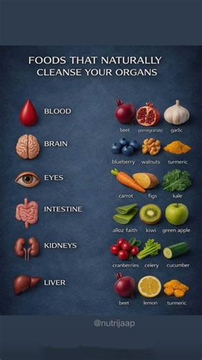 Clean organs = clear skin, better energy ✨ #nutrition #digestivehealth #body #food #healthyeating
