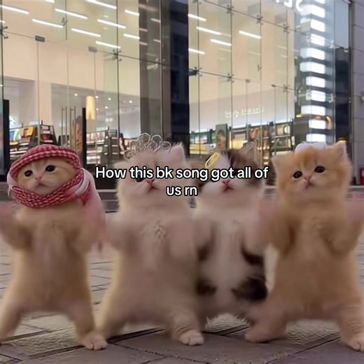 How BK the Rula's Song Captivates Animal Lovers