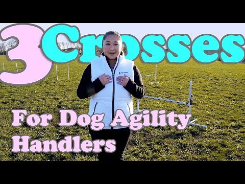 3 Crosses For Dog Agility Handlers