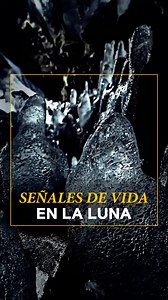 🚀 El 2 de marzo de 1972, la NASA lanzó la sonda Pioneer 10, una de las misiones más importantes de la exploración espacial. Fue la primera nave en atravesar el cinturón de asteroides y en enviar imágenes cercanas de Júpiter. ✨ Pioneer 10 siguió viajando más allá del sistema solar y su última señal se recibió en 2003, convirtiéndola en una de las primeras embajadoras del ser humano en el cosmos. #HoyEnLaHistoria #Inexplicable #NASA #Pioneer10 #Historia #History | HISTORY