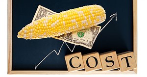 Animal Feed Nutrition Additives - Halim Biotech