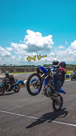 胃潰瘍なのでゆったり動画になります、グリフィスパーカー売ってます#グリ長 #ウイリー #ウィリー #ねこかず