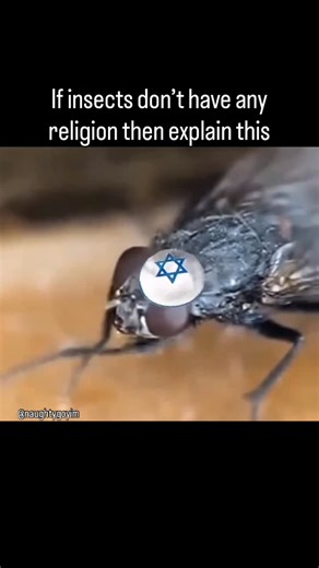 Naughty Goyim on Instagram: "Knew it 🤨"