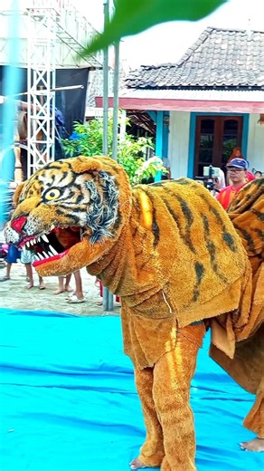 Banteng Macan KSM #tranding1