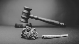 Defining What ‘Legal,’ ‘Illegal,’ & ‘Decriminalized’ Cannabis Means - GoodRx