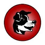 Brockway Area - Roster