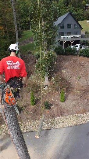 2.1K views · 17 reactions | The crew at @craigstree_service knows how to get the job done safely, efficiently, and with some epic drone footage to prove it. From work positioning to rigging, our Arbor lines are built to keep arborists solid on every climb.  Arborists—what’s your go-to Sterling line in the tree?  Craig’s Tree Service #SterlingSolid | Sterling Rope | Facebook