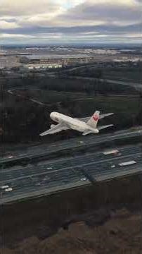 Unbelievable Storm Landing Simulation You Can't Miss - 028