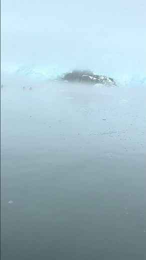 Epic Kenai Fjords Glacier Cruise – Alaska’s Stunning Ice & Wildlife Adventure, Alaska, USA 🇺🇸