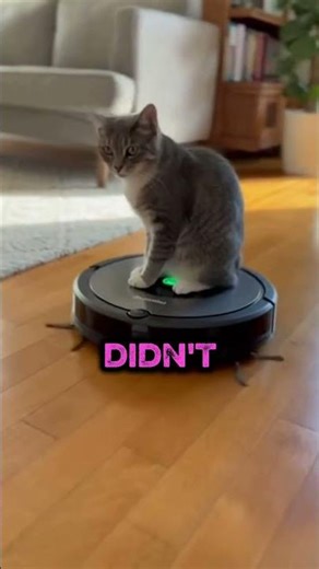 You Won't Believe How This Cat Conquered the Roomba! 😹 #short