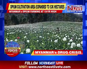 Myanmar’s Opium Poppy Cultivation Hits Decade High Amid Ongoing Civil War: UN Survey Opium poppy cultivation in Myanmar reached its highest level in a decade this year as the nation engaged in a civil war remains one of the world's primary suppliers of illicit drugs, according to a United Nations survey. The growth solidifies Myanmar's position as the world's main known source of illicit opium, especially following sharp declines in production in Afghanistan after the ruling Taliban imposed a ba