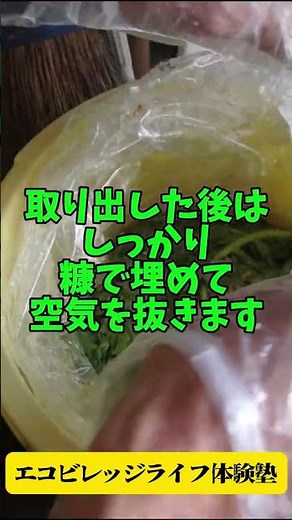 【たくあんとニシン漬け】漬けて1か月たった漬物を試食 #エコビレッジライフ体験塾 #ぐるりの暮らし製作所 #自給的な暮らし #農ある暮らし ＃自家製たくあん #ニシン漬け #発酵食品 #つけもの日和