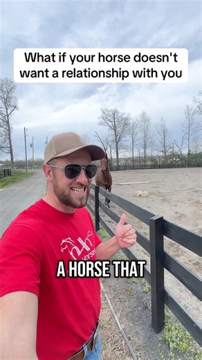 286K views · 6.8K reactions | This horse wanted nothing to do with me...