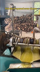 100 type spiral oil press customer production and use site#oilpress #rapeseed #peanut #soybean