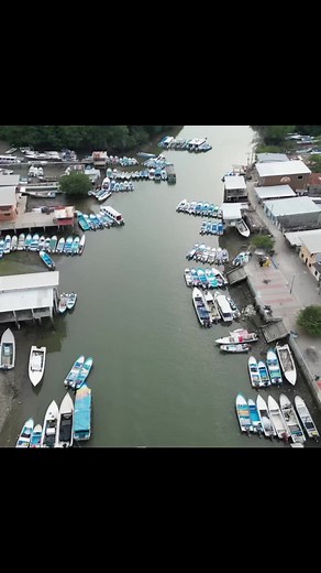 Descubre la Isla Puná en Ecuador
