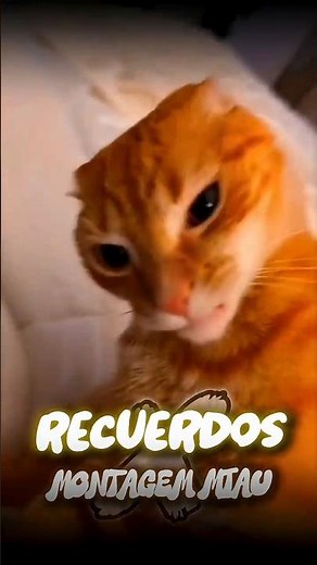 #funk #mashup #funkbrasil #chillfunk #edits #edit #viral #tepukkartu #music #cartooncat #dreggman