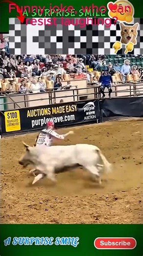 Funny joke, who can resist laughing#funny #animalsvideo