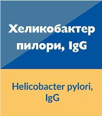 Антитела IgG срещу Хеликобактер пилори
