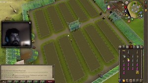 29 plants - Tithe Farm