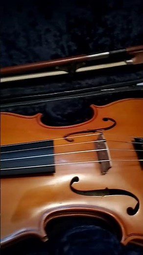 Violin vs Fiddle | What's The Difference?