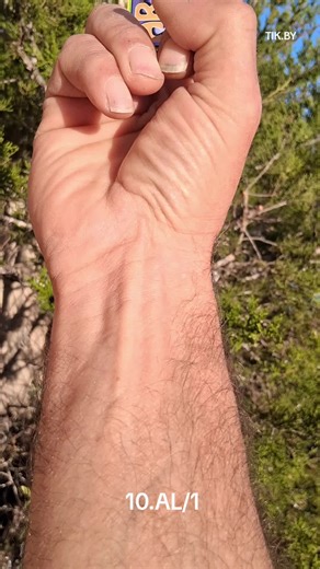 #test for #art #experiment VISUAL.AL 💚