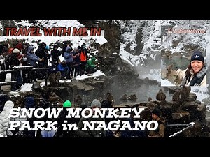 SNOW MONKEY PARK | NAGANO | JAPAN TRAVEL