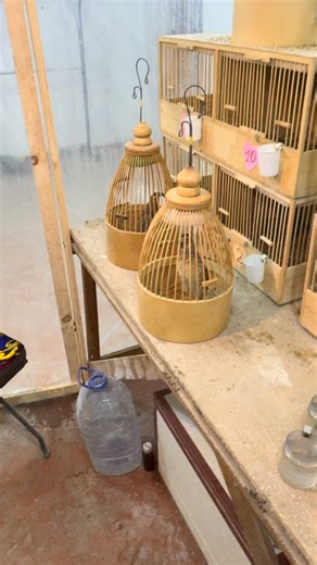 Italiya_Bedanalari🇮🇹 on Instagram: "Sotildi"