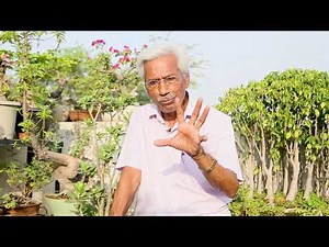 BONSAI - SOIL MIX - PART 01