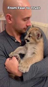 From Fear to Trust | Puma Rescue Story