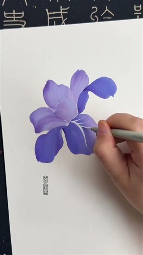 A Romantic Iris Drawing Tutorial for Beginners