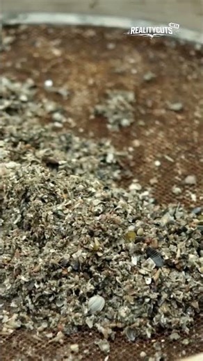 Roman Aqueducts: 57-Mile Marvels Still Flowing Today