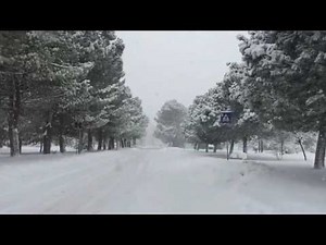 [10 Hours] Snow Falling on Tree Lane - Video & Audio [1080HD] slowTV